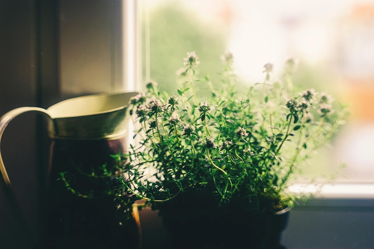 How to Build a Slower Morning Without Waking Earlier