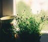 recent post